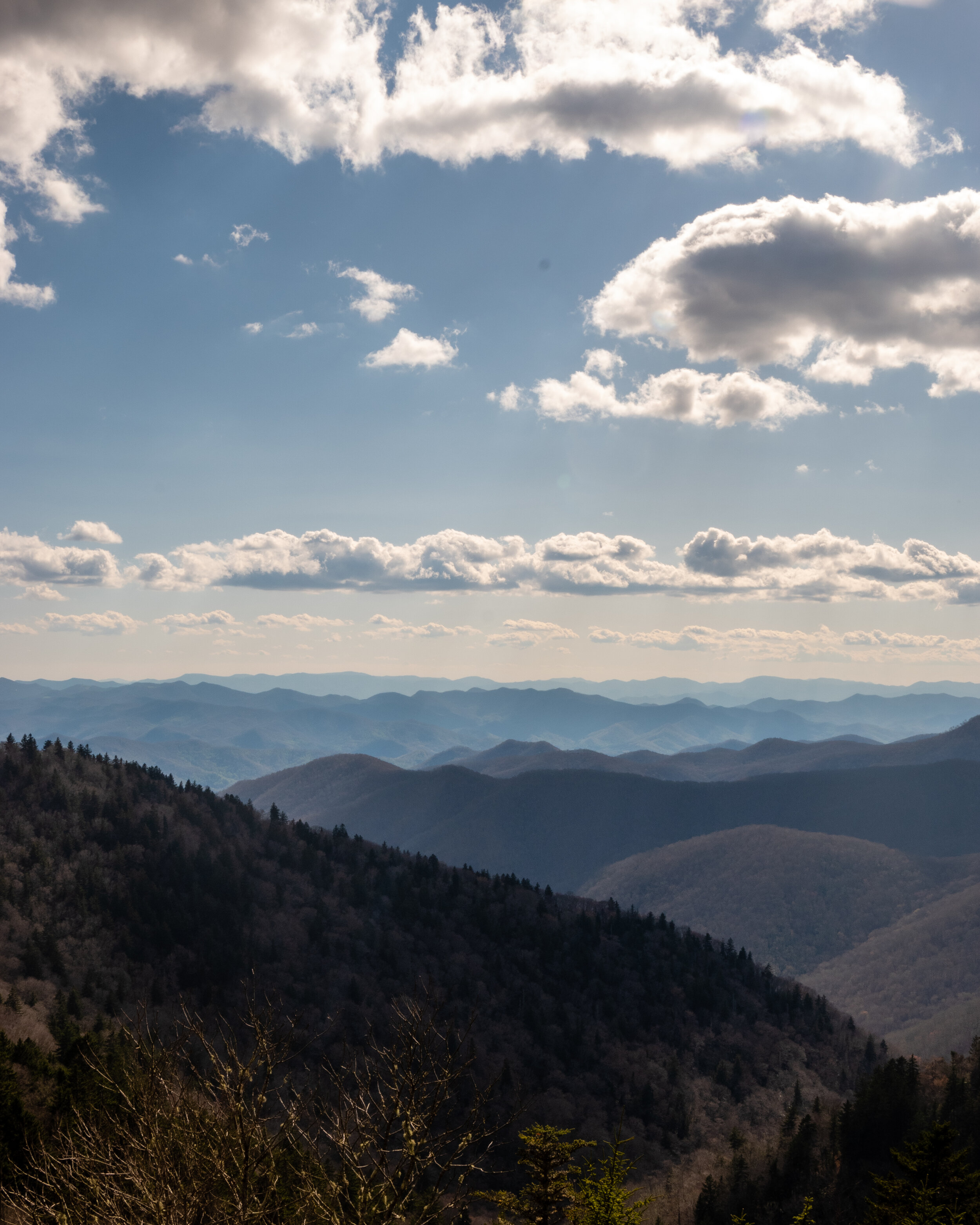 20210420-_DSF6389.jpg