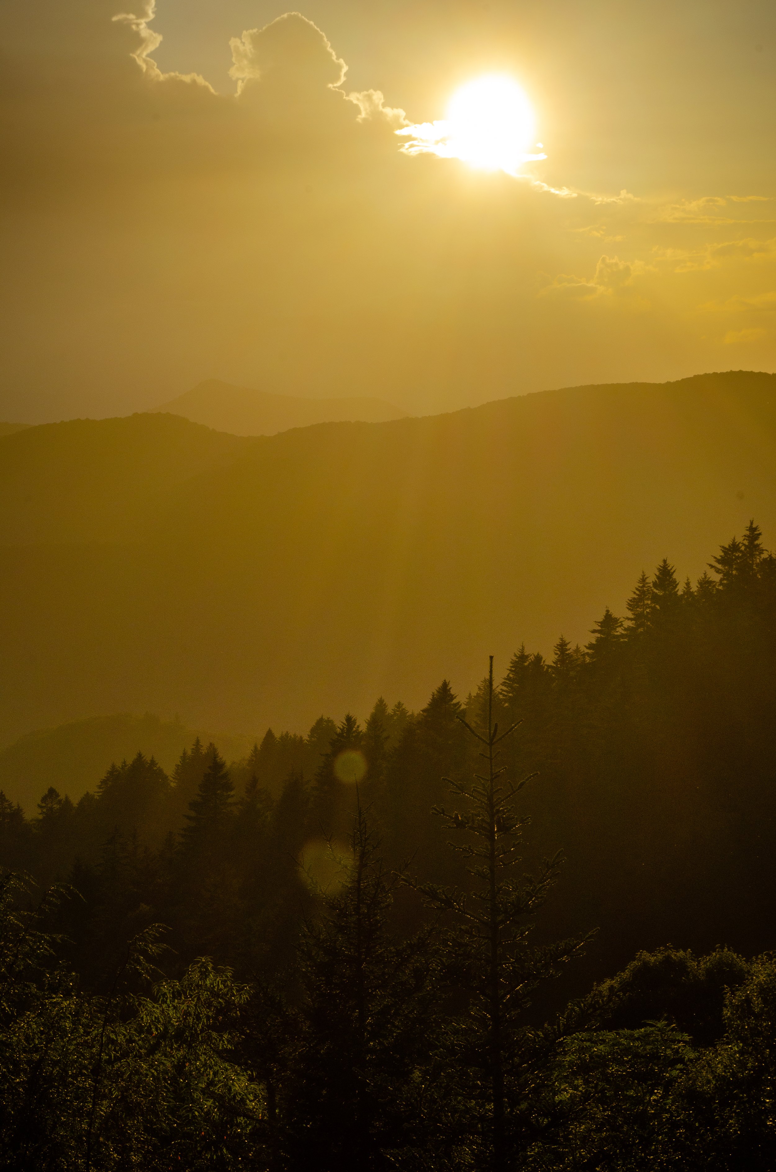 20210827-_DSC0269.jpg