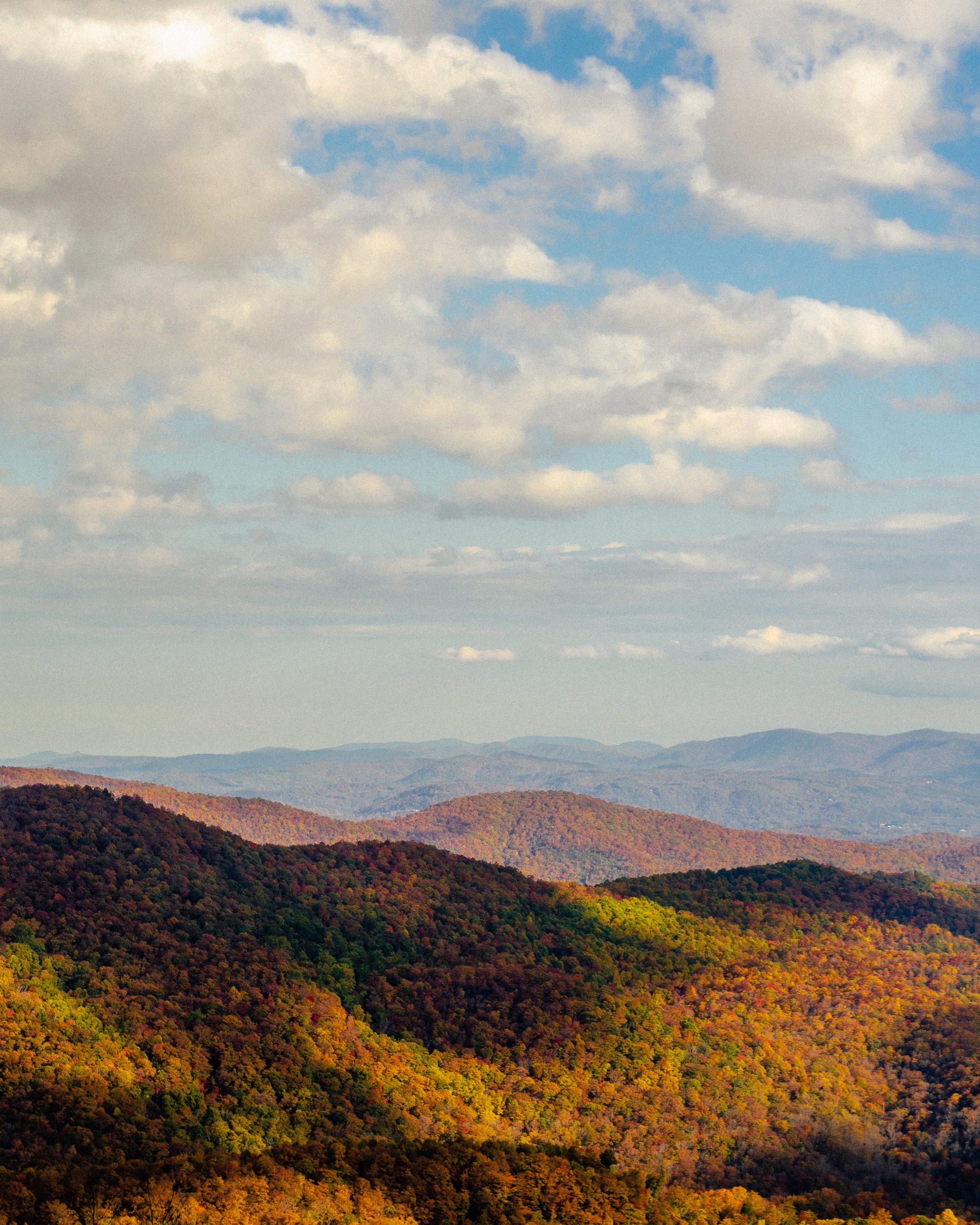 20211102-_DSC0610.jpg