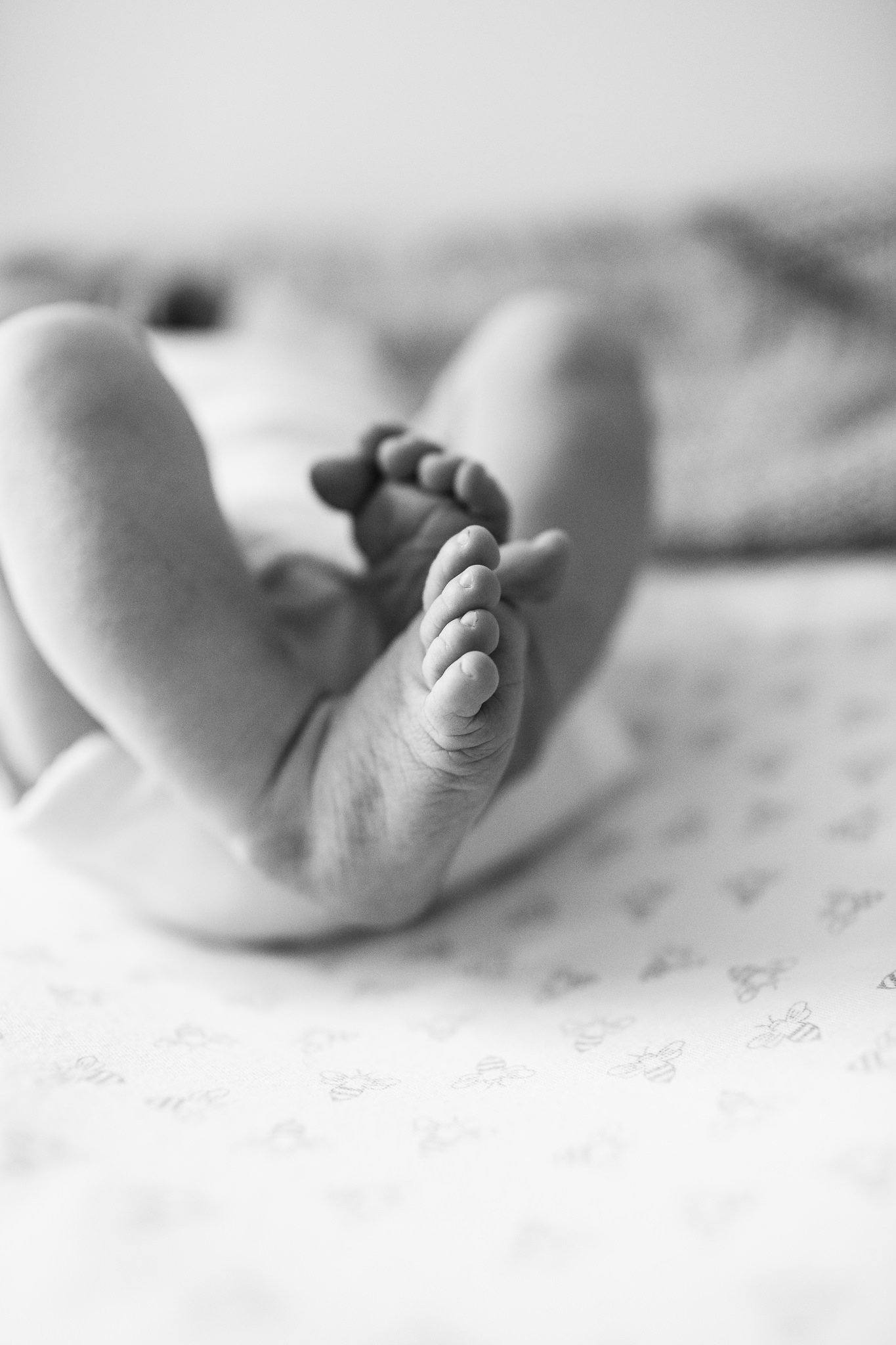 Brooklyn-newborn-photographer|Sarah-Bode-Clark-Photography