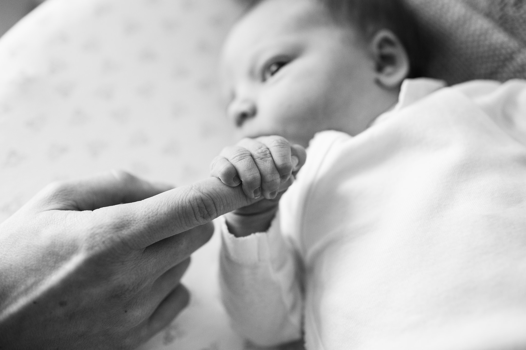 Brooklyn-newborn-photographer|Sarah-Bode-Clark-Photography