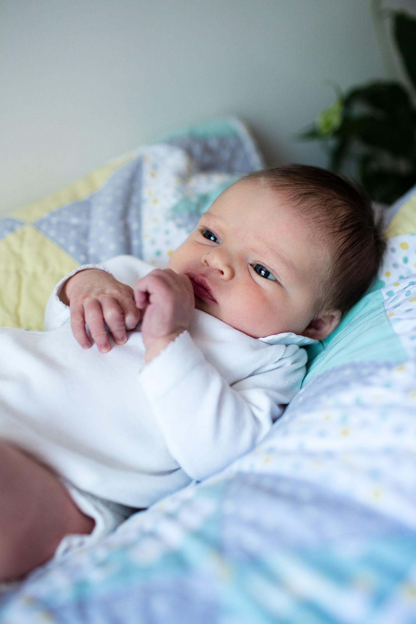 Brooklyn-newborn-photographer|Sarah-Bode-Clark-Photography