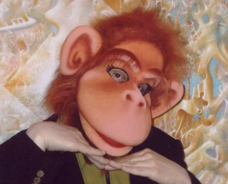 Monkey Mask310.jpg