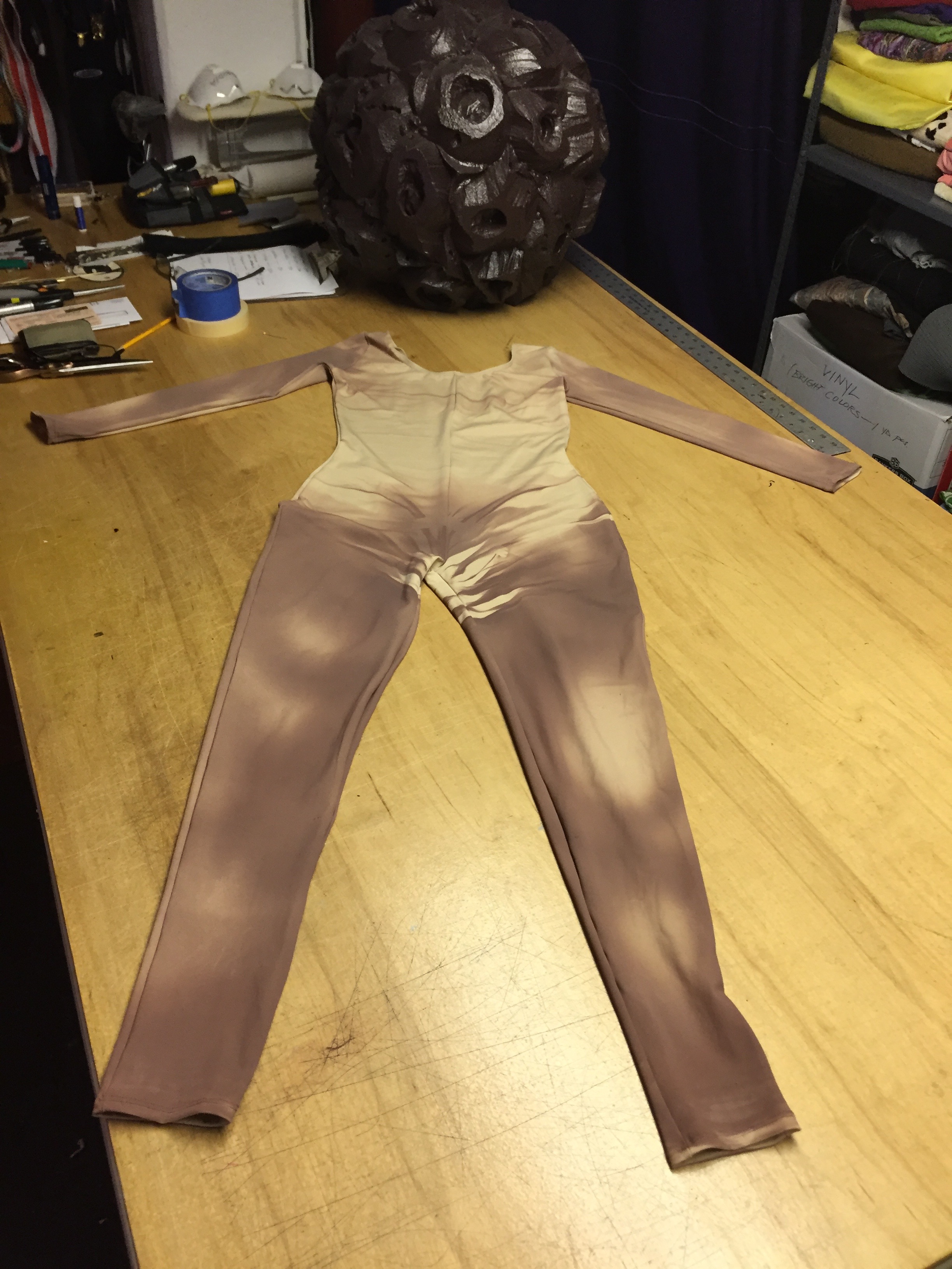 Airbrushed leotard to wear with costume