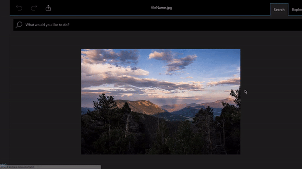 Spark renames the vintage effect to faded based on the user's frequently used words.