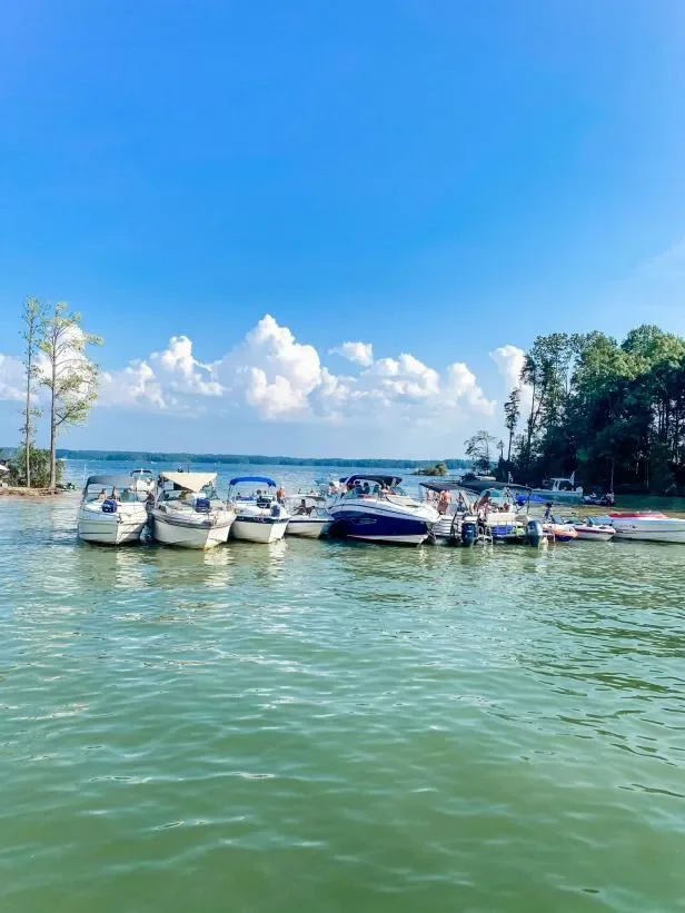 Several boats docked at a marina on a clear, sunny day with a blue sky and white clouds, surrounded by trees and water.