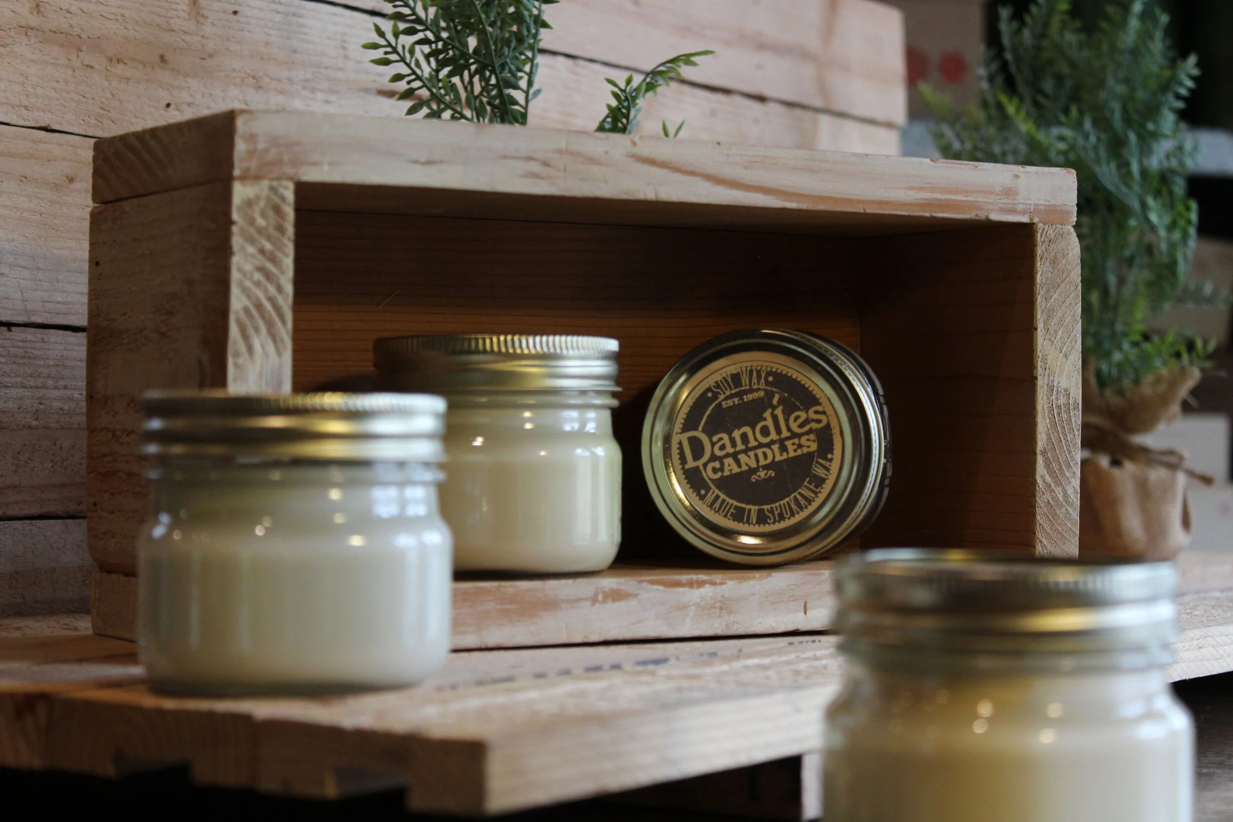 Dandle Candle Banner 13.jpeg