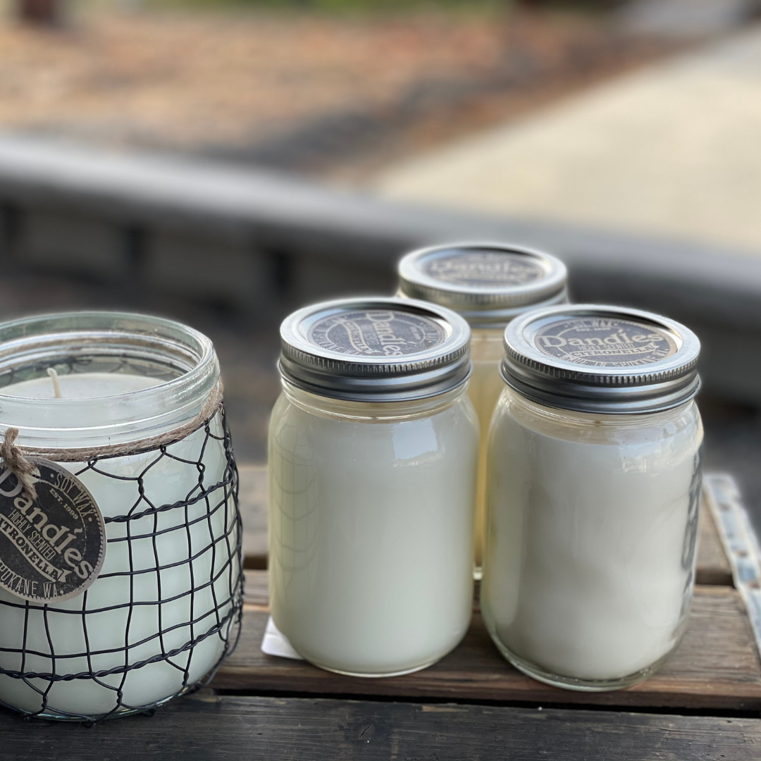 Citronella Candle Mosquito Bugs Summer3.png