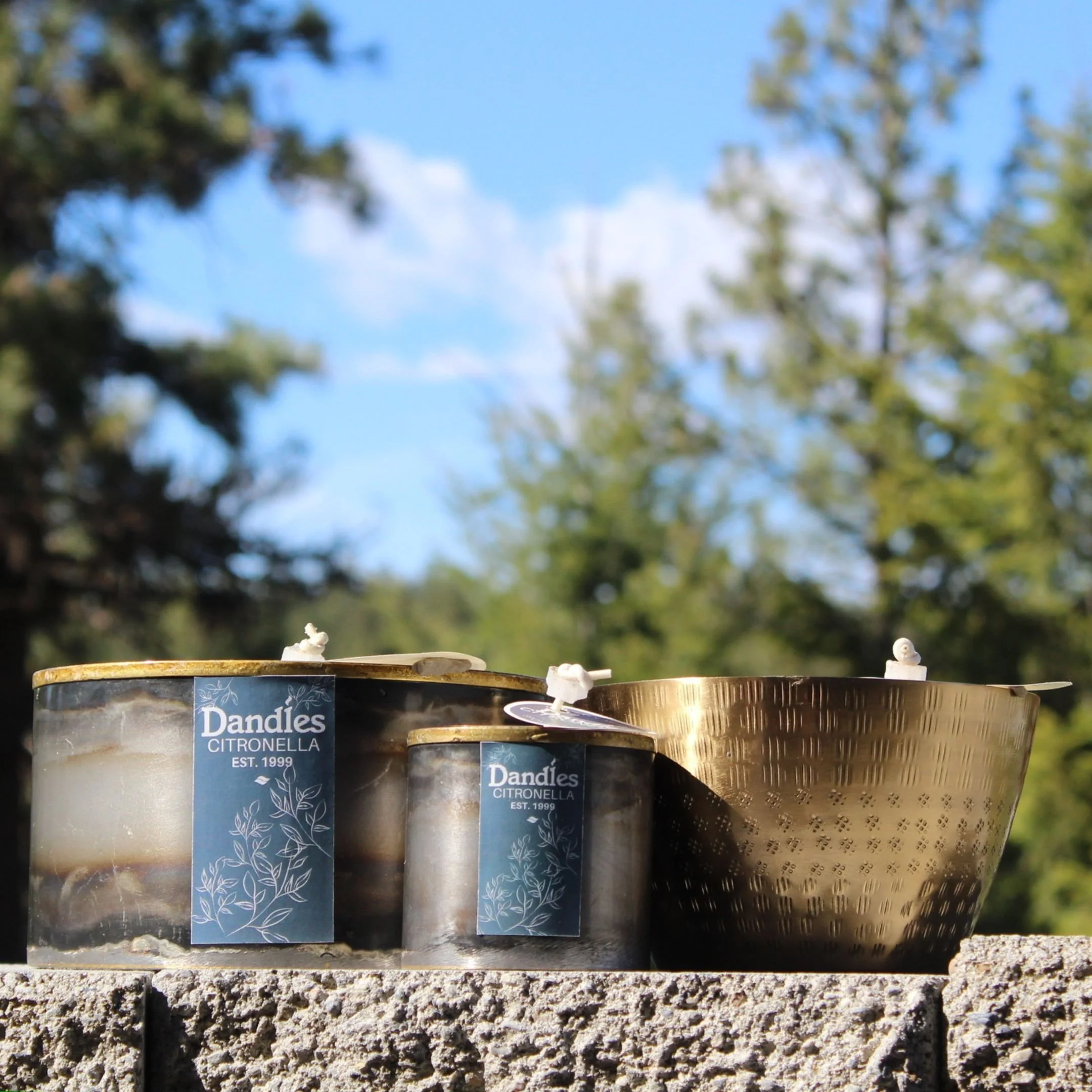 Summer_Citronella_candles_spokane_4.jpg