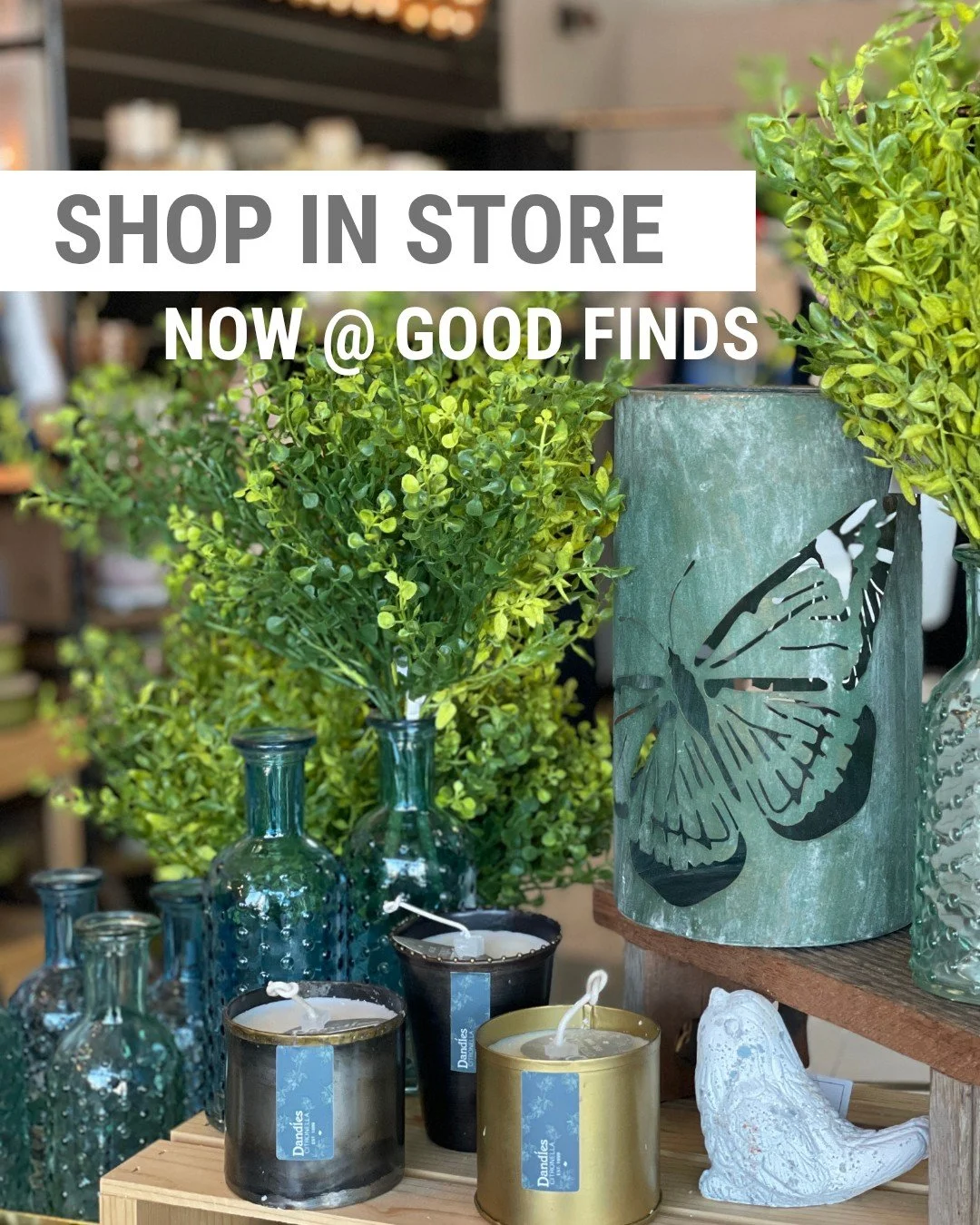 Citronella candles and Mother's Day gifts are arriving in store at @GoodFindsByDandles in Spokane. SWIPE to see what's new at our Sprague location. 

🕯️Store Hours⁣
Saturday | 10am - 2pm⁣
Tuesday - Friday | 10am - 4pm
Sunday &amp; Monday | Closed

?