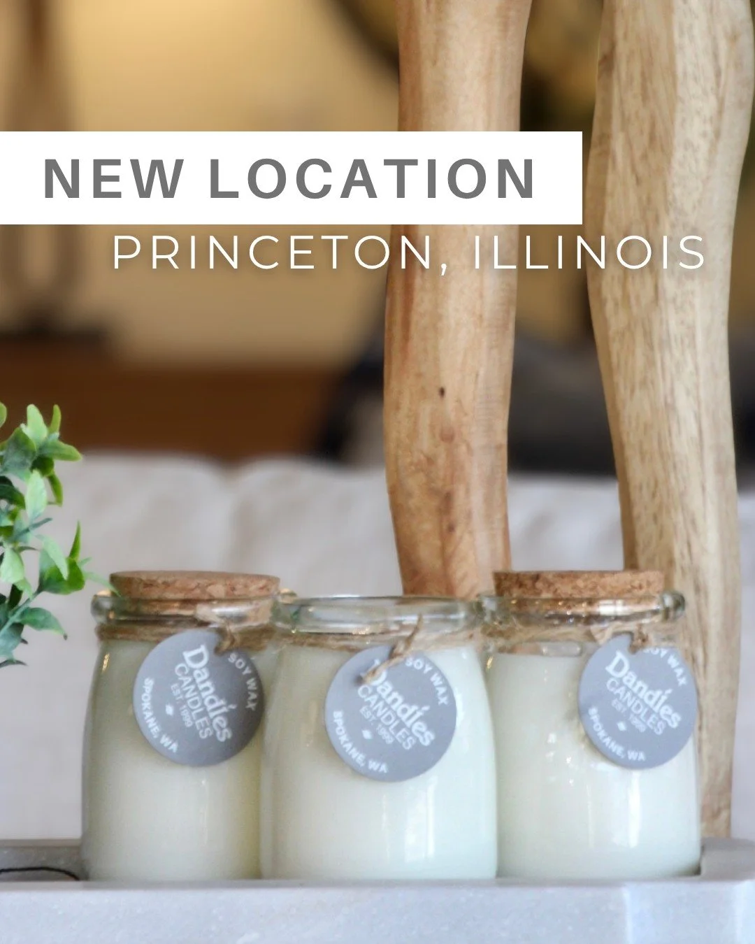 Now in Illinois at@gardenofedenprinceton 
Our award-winning soy wax candles are now in this cute floral shop. 

#florist #candles #candlesandcandles #candlesofinstagram #candlesforsale #candleaddict
