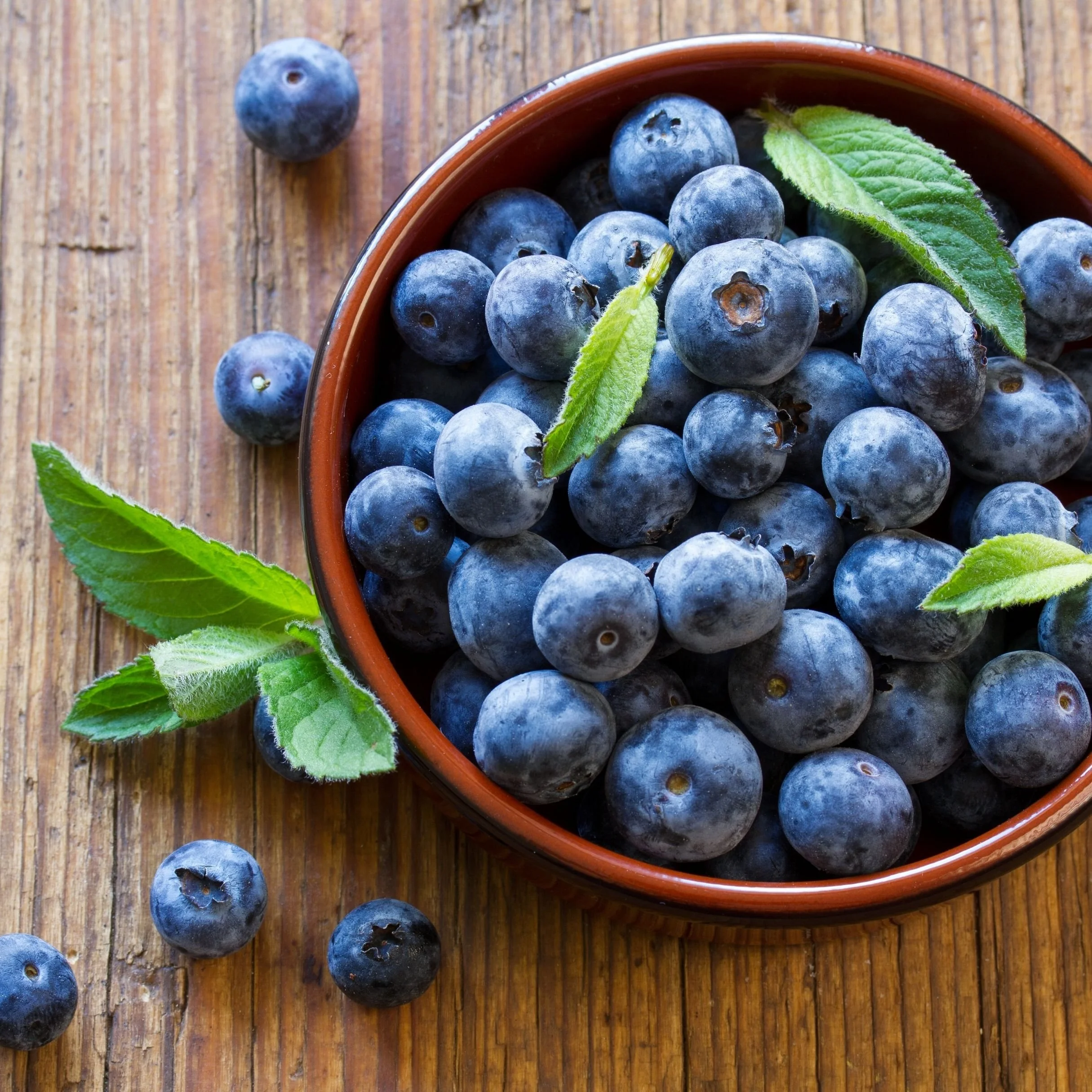 A close-up of fresh blueberries in a terracotta bowl on a wooden surface, with a few blueberries and green leaves scattered around.