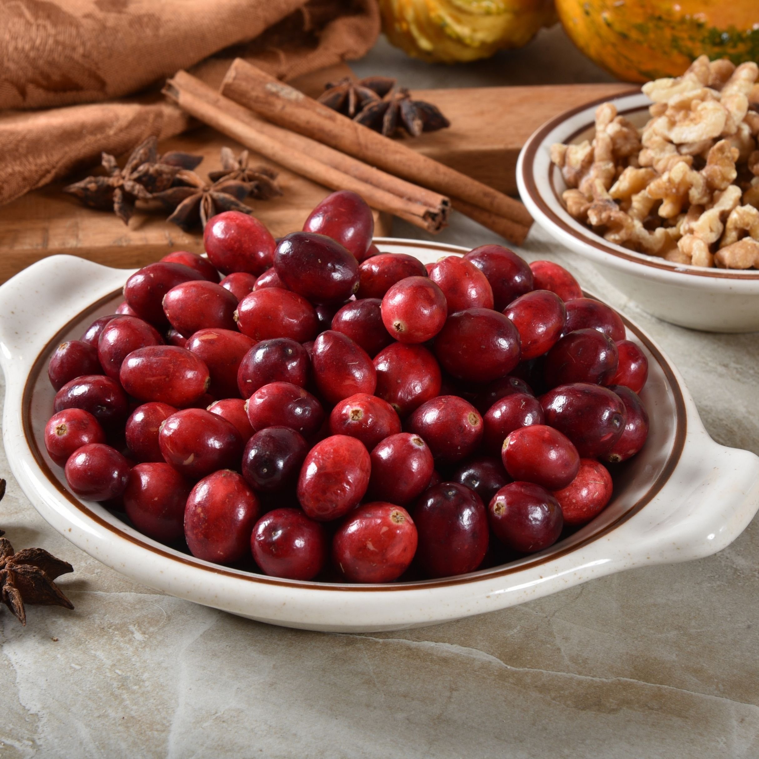 A white bowl filled with red cranberries, placed on a stone surface with spices and gourds in the background.