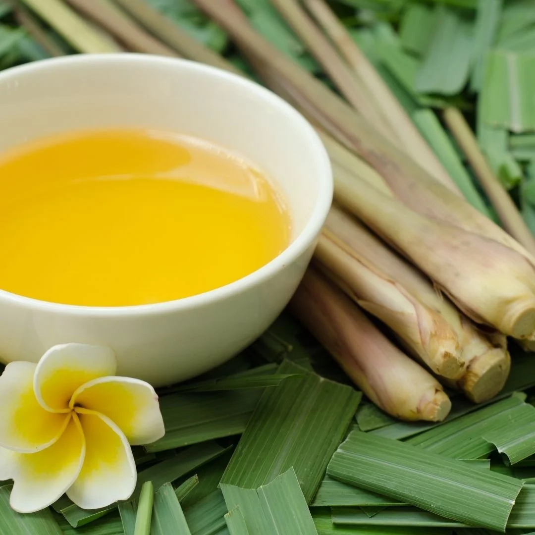 A bowl of bright yellow lemongrass tea surrounded by fresh lemongrass stalks and green leaves, with a white and yellow plumeria flower nearby.