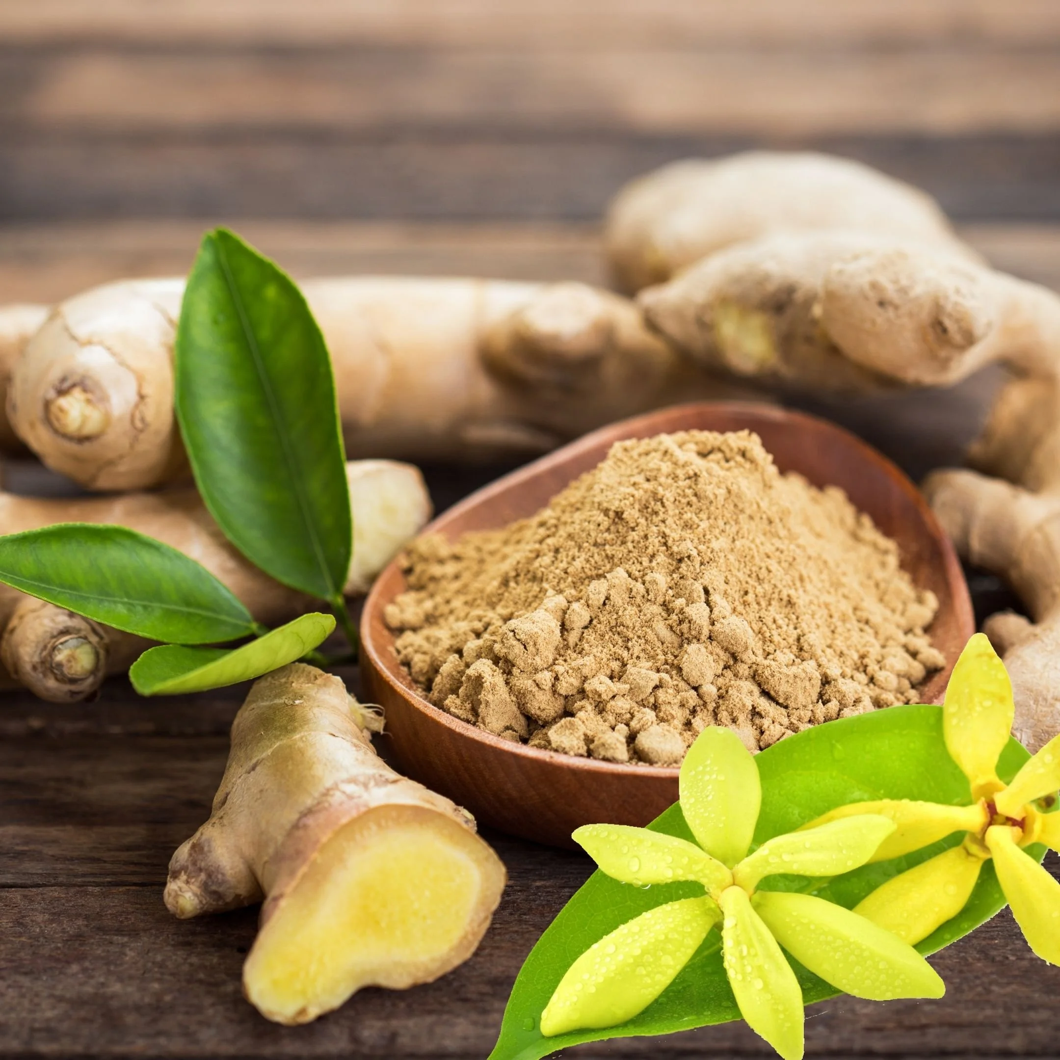 Fresh ginger roots, ginger powder in a bowl, and green decorative leaves on a wooden surface.