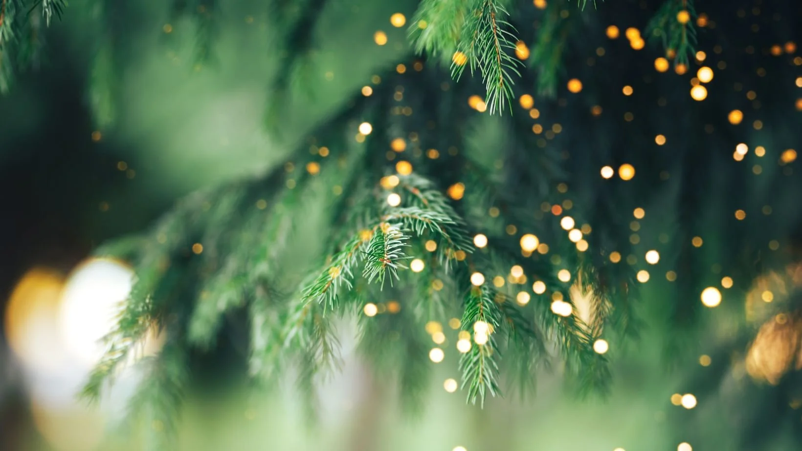 Christmas_Fir_Scent.jpg