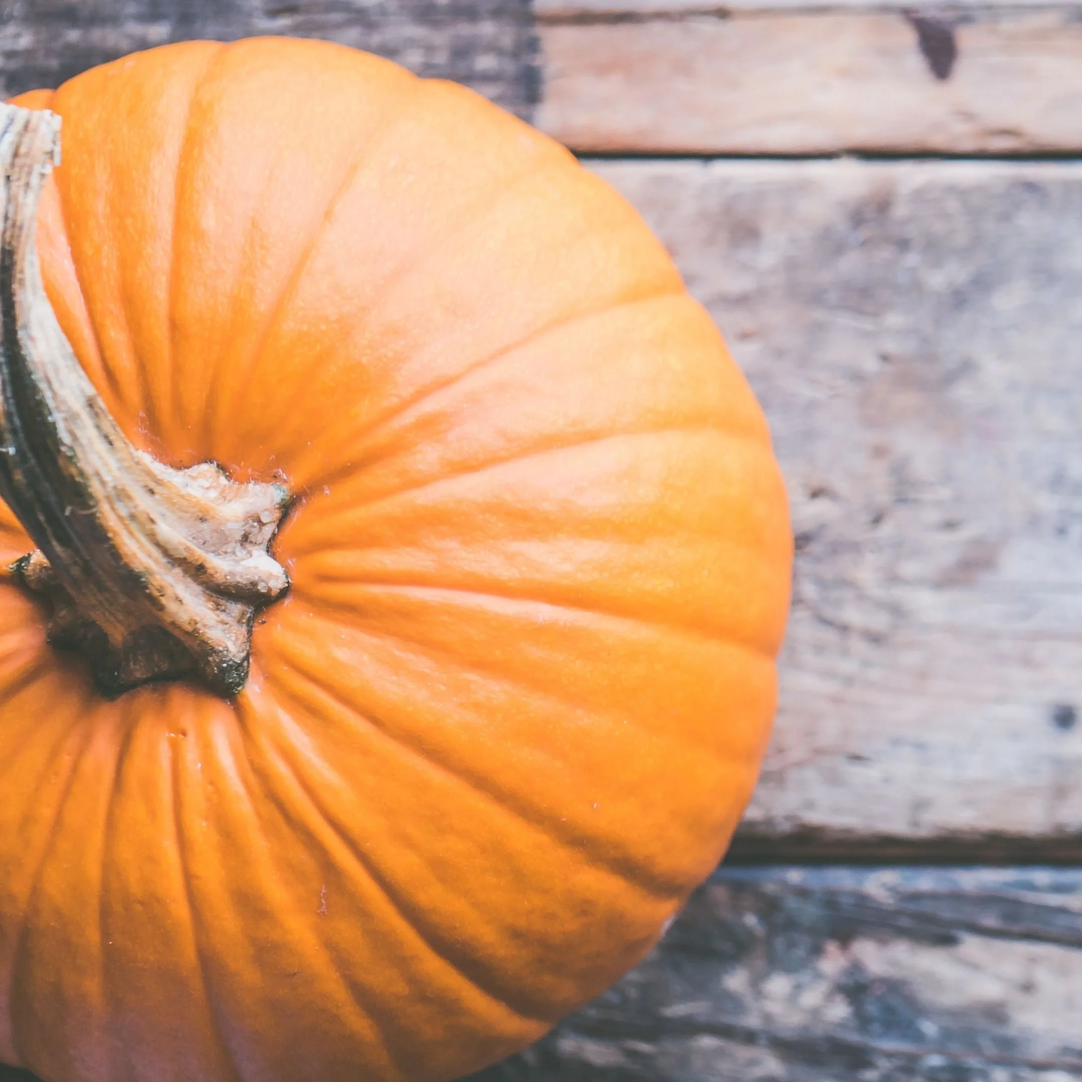 Close-up of a small orange pumpkin on a wooden surface.