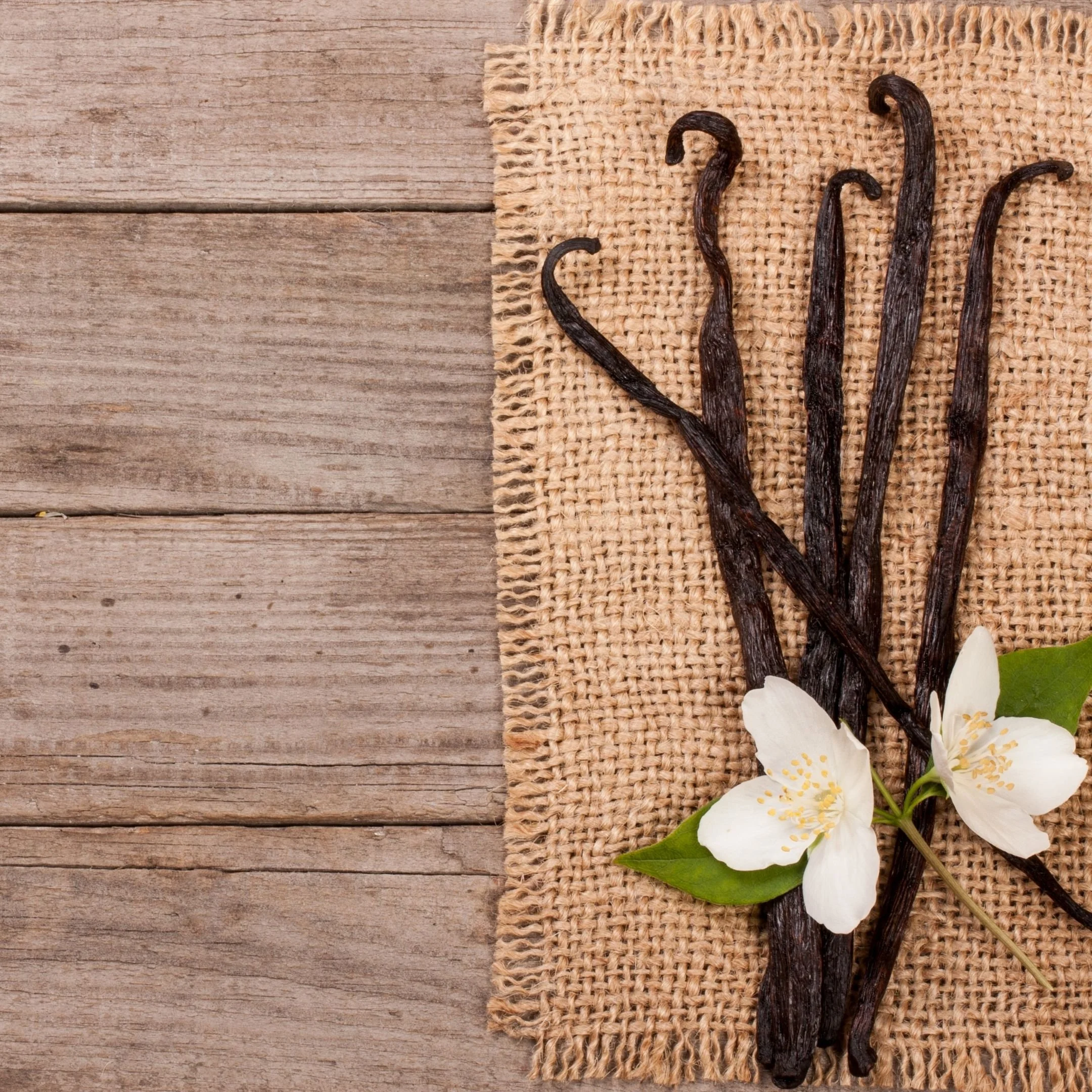 Vanilla beans placed on a piece of burlap cloth next to white flower with green leaves, on a wooden surface.