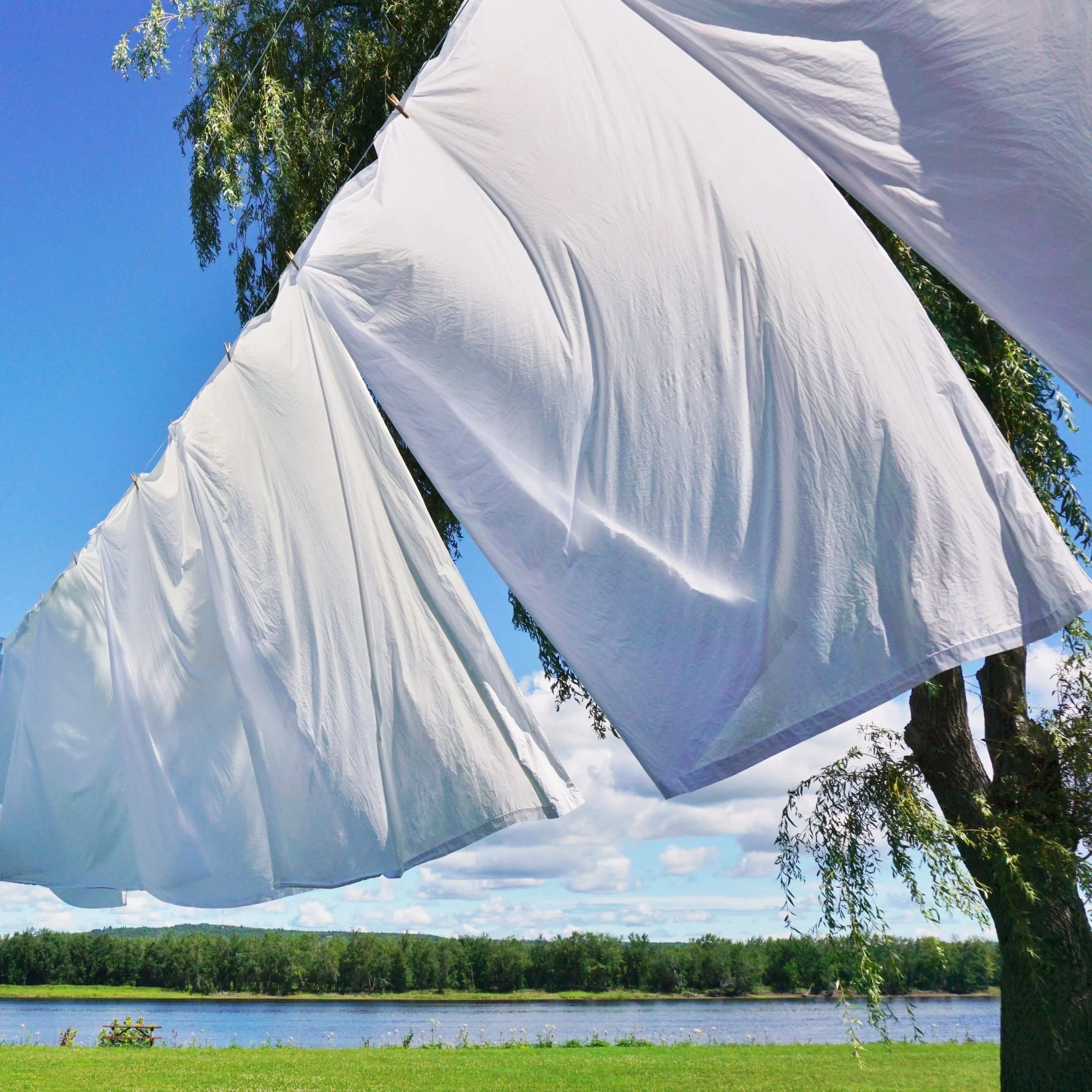 White sheets or cloths hanging on a clothesline outside near a lake, with green trees, grassy area, and a bright blue sky with some clouds.