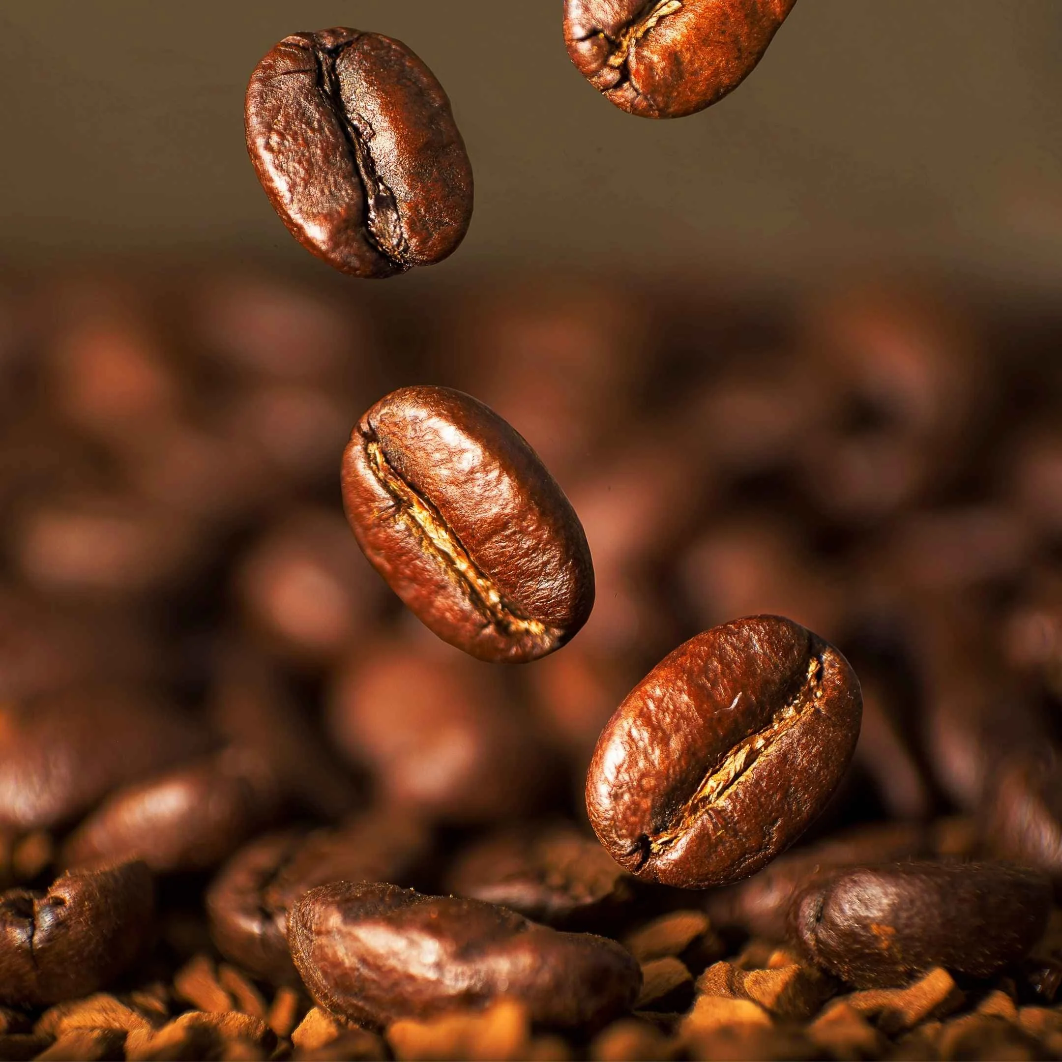 Close-up of roasted coffee beans with a brown background.