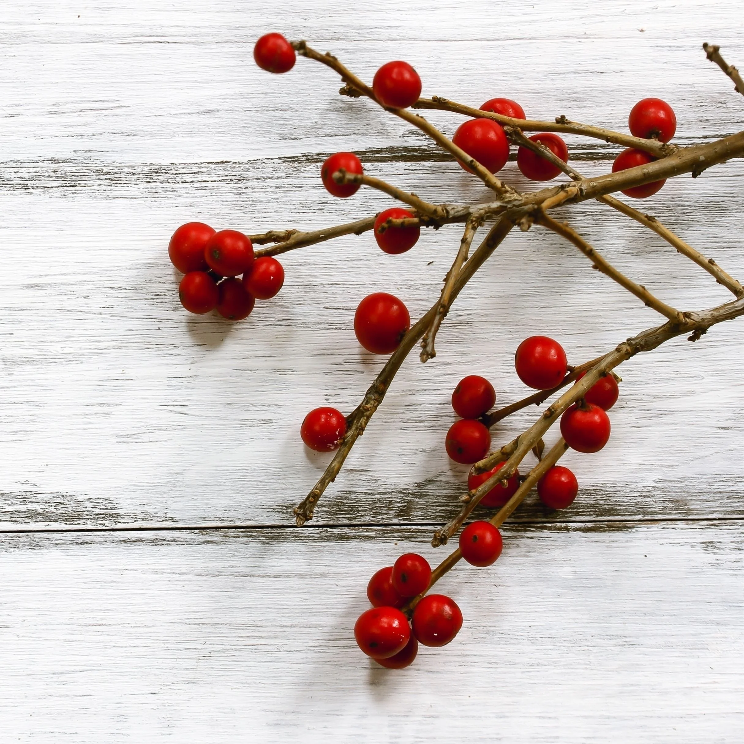 Red berries on thin, brown twigs placed on a white wooden surface.