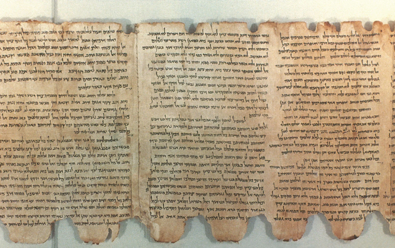 Dead Sea Scrolls