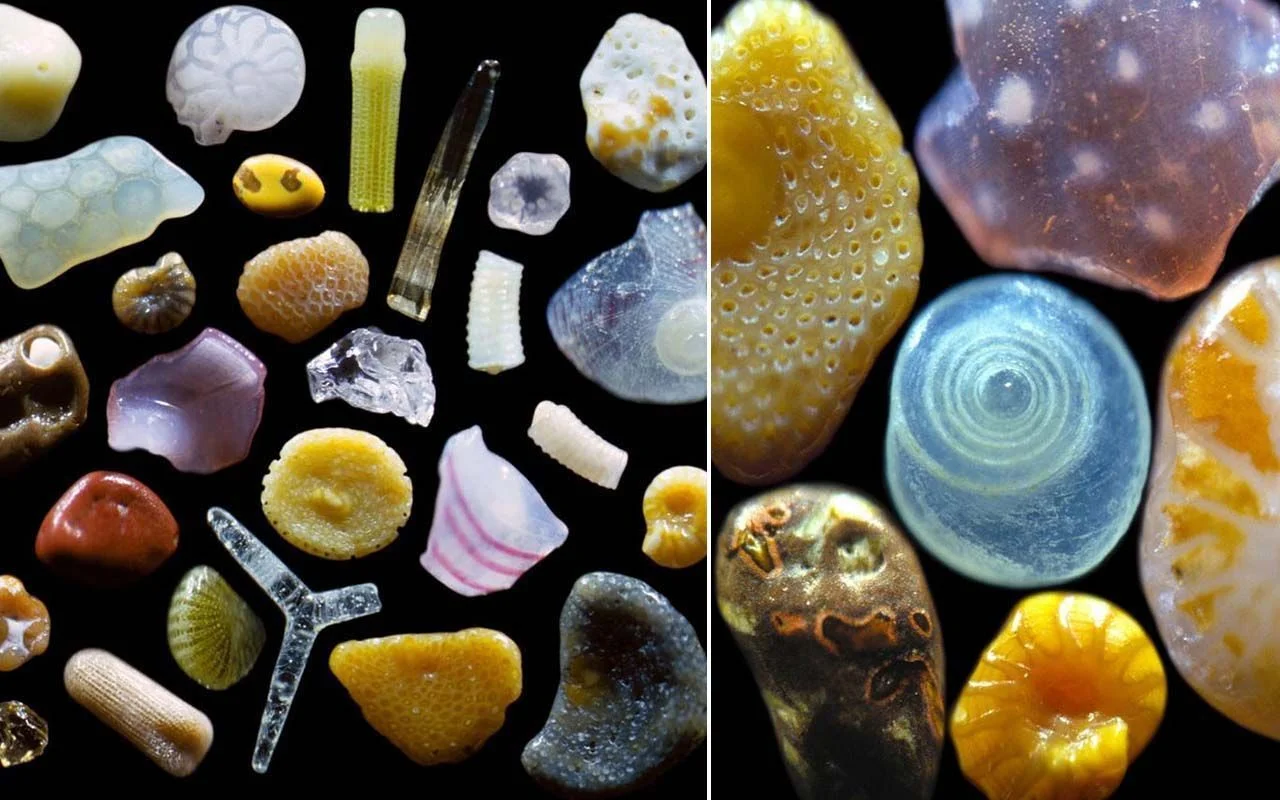 grains of sand. two images.jpg