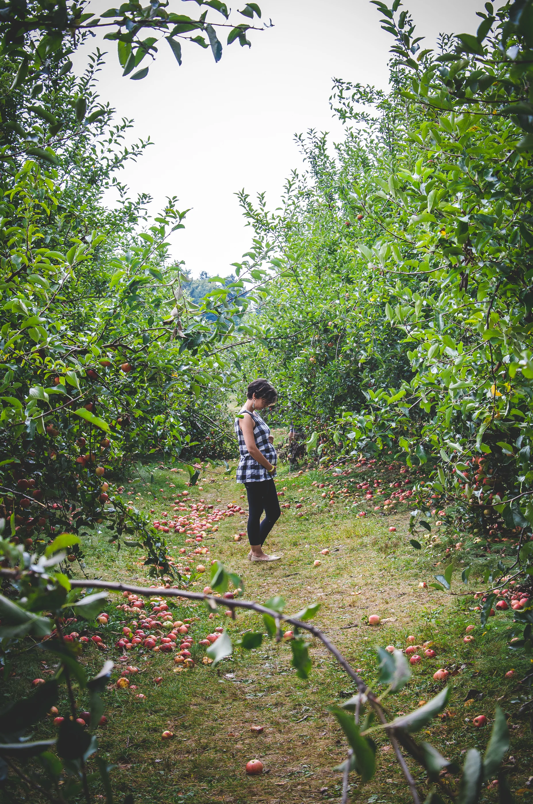 JKTPHOTO-1026.jpg