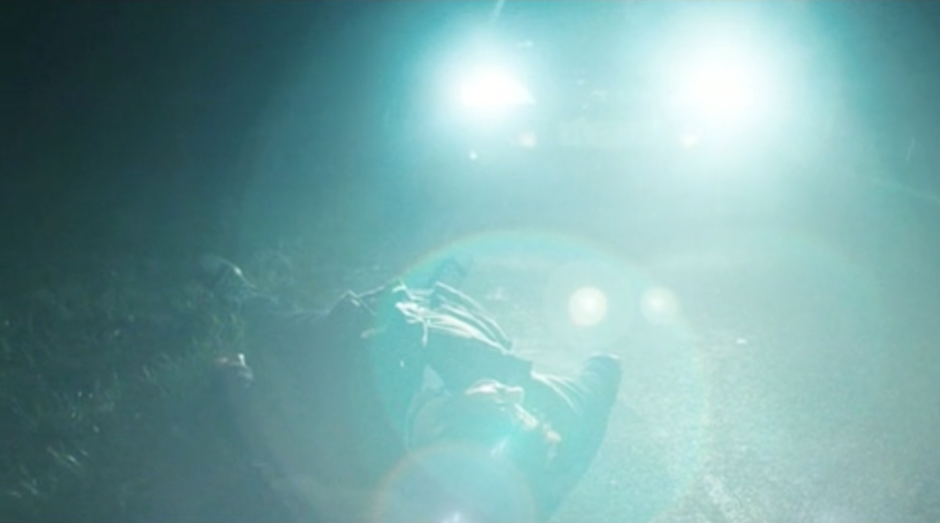 Screen Shot 2017-04-17 at 12.16.16.png