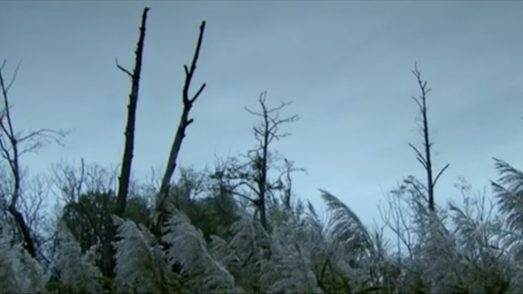 Screen Shot 2017-04-17 at 13.21.22.png