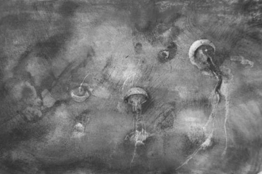 Cathrine Raben Davidsen "Tentacular"