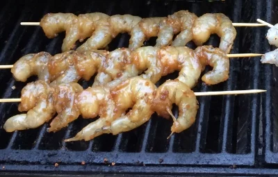 TAS shrimp.jpg
