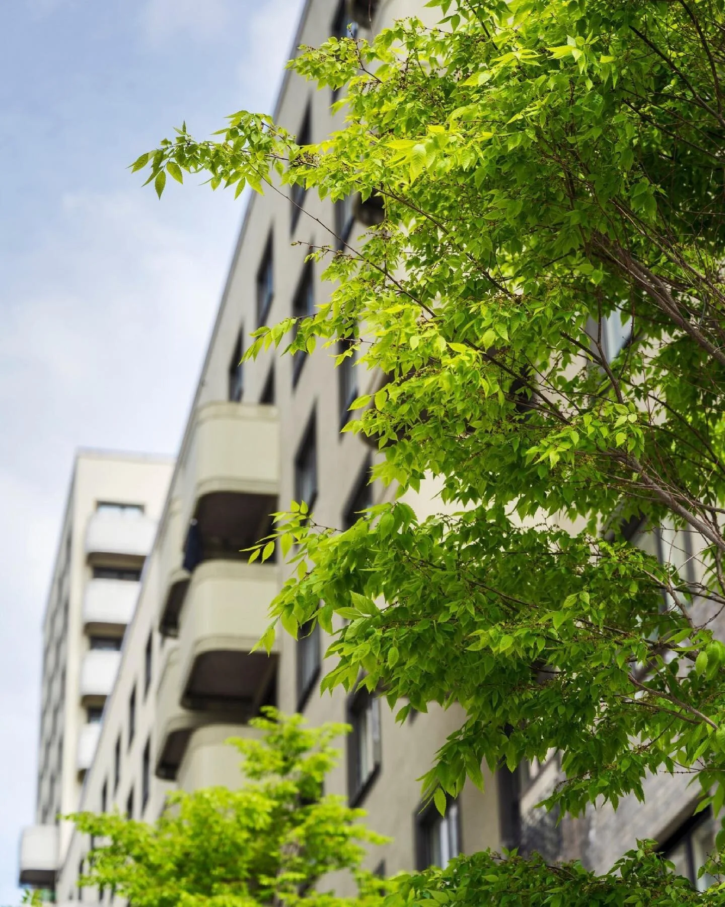 Visste du att m&aring;nga av gatorna i Hagastaden &auml;r uppkallade efter framst&aring;ende kvinnor inomforskning, utbildning och h&auml;lso-och sjukv&aring;rd? Passa p&aring; att testa dina och v&auml;nnernas kunskaper, med en tipspromenad i omr&ar