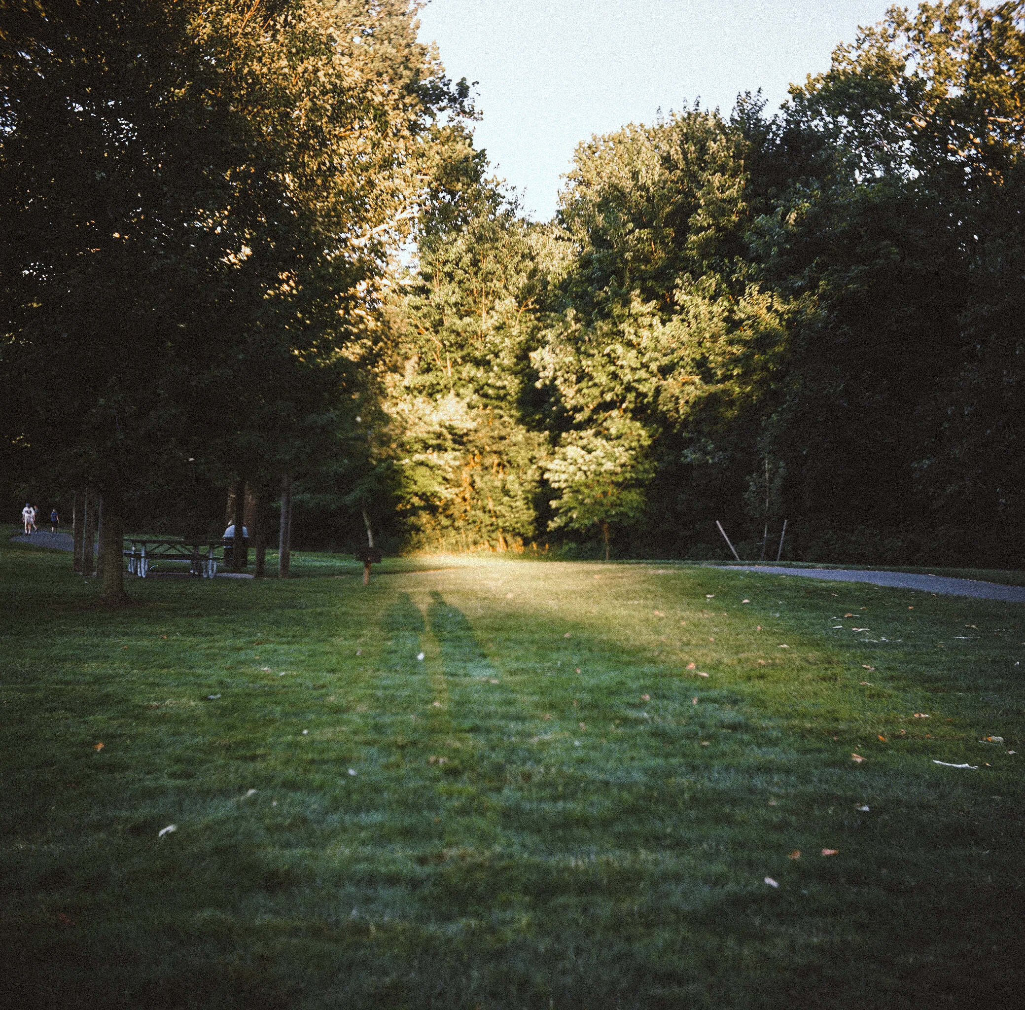 Kemper Park, Warminster Yashica-D, medium format film