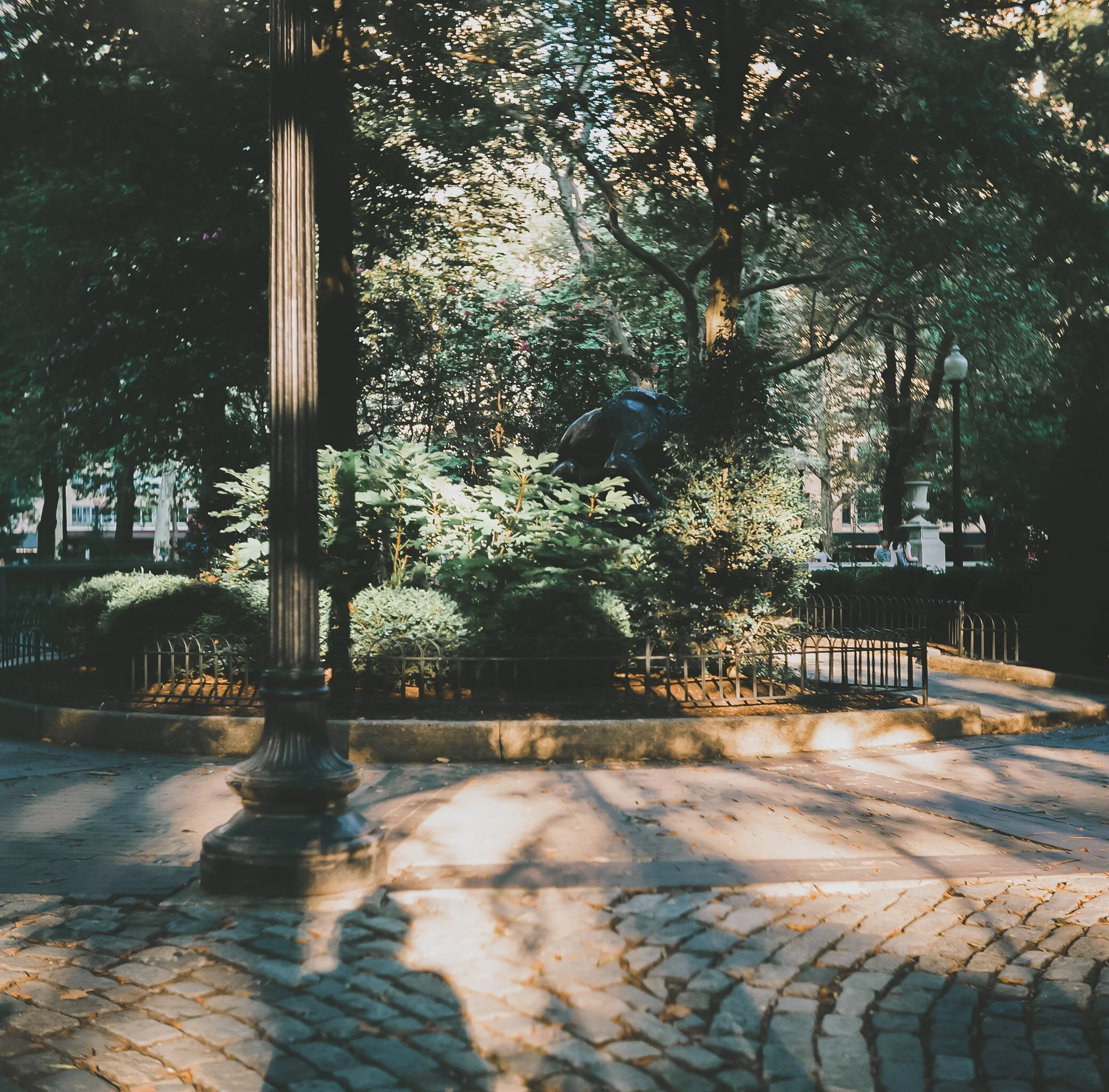 Rittenhouse, Philadelphia Yashica-D, medium format film