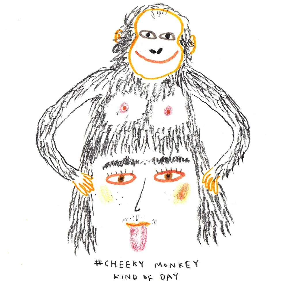01_cheekymonkey.jpg