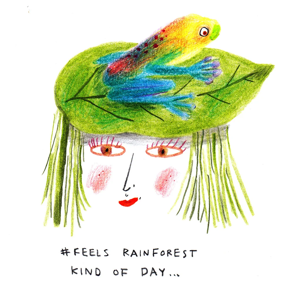 12_rainforest.jpg