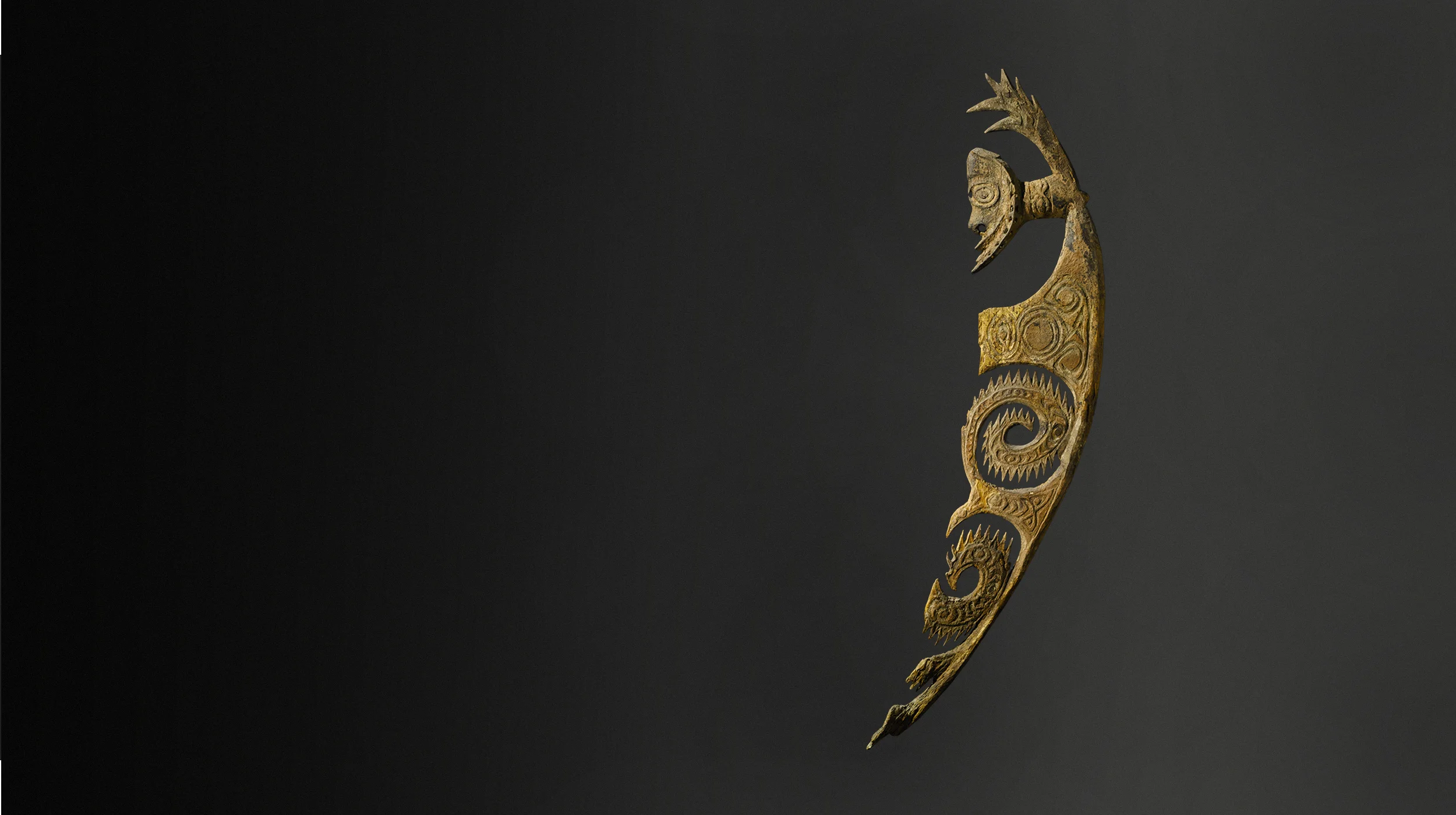 Friede_Aripa_4.jpg