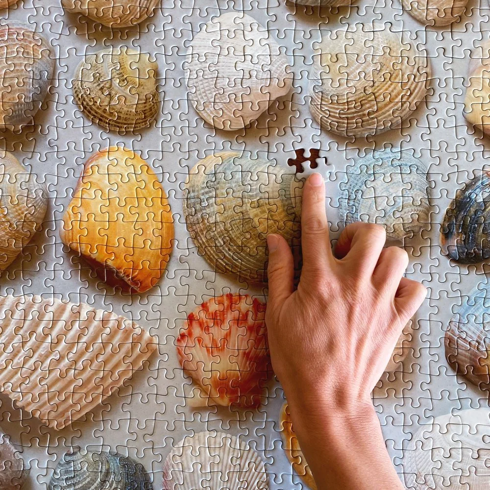shellpuzzle1.jpg