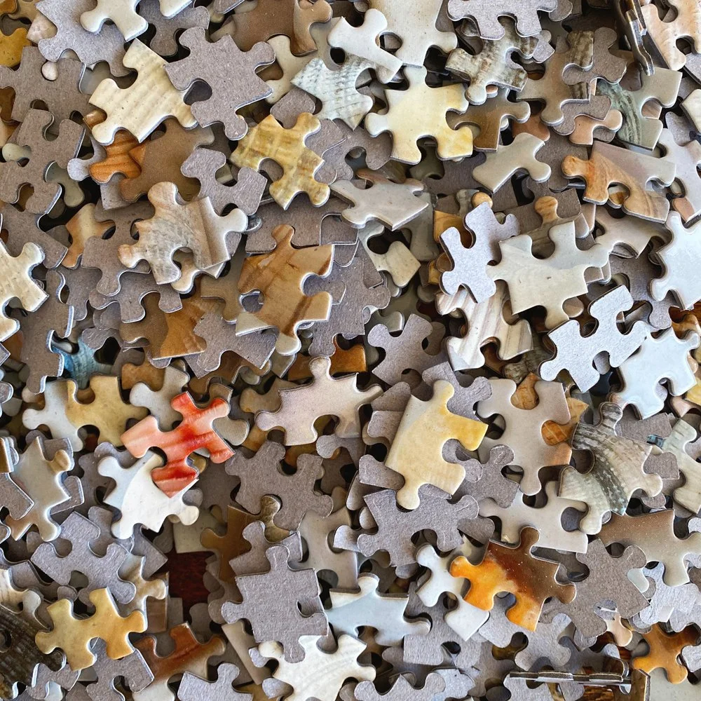 shellpuzzle4.jpg