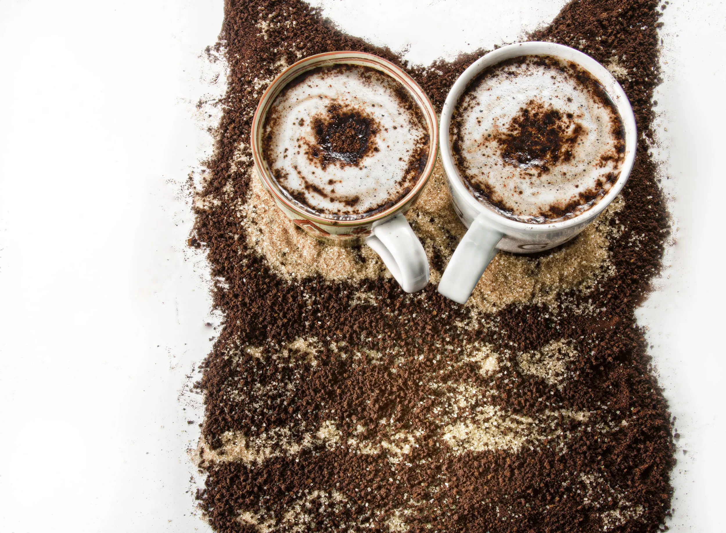 Coffee Owl