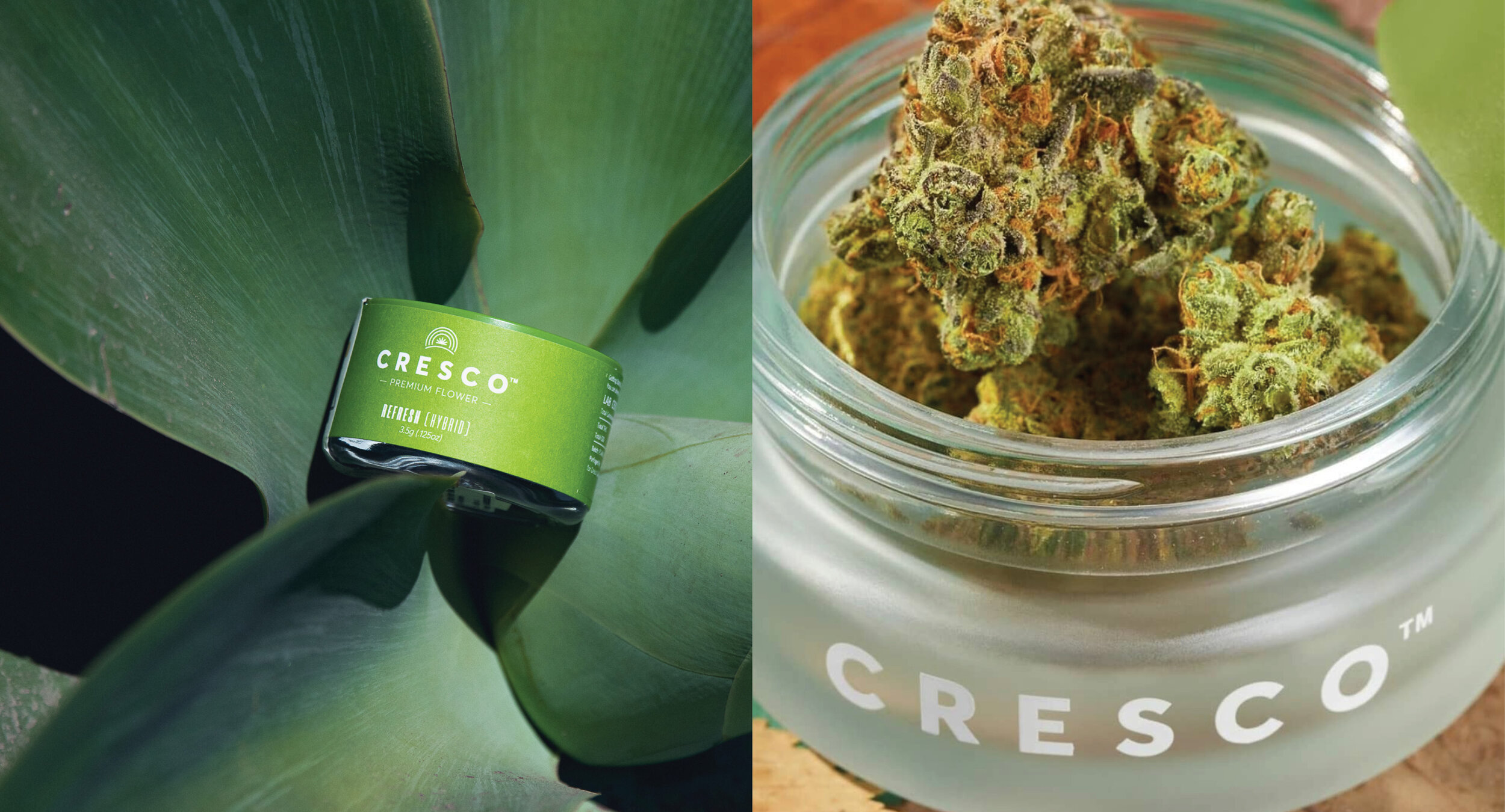 Cresco Split images4.jpg