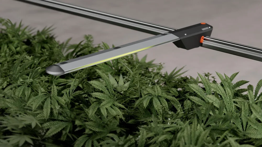 Budscout · grow install