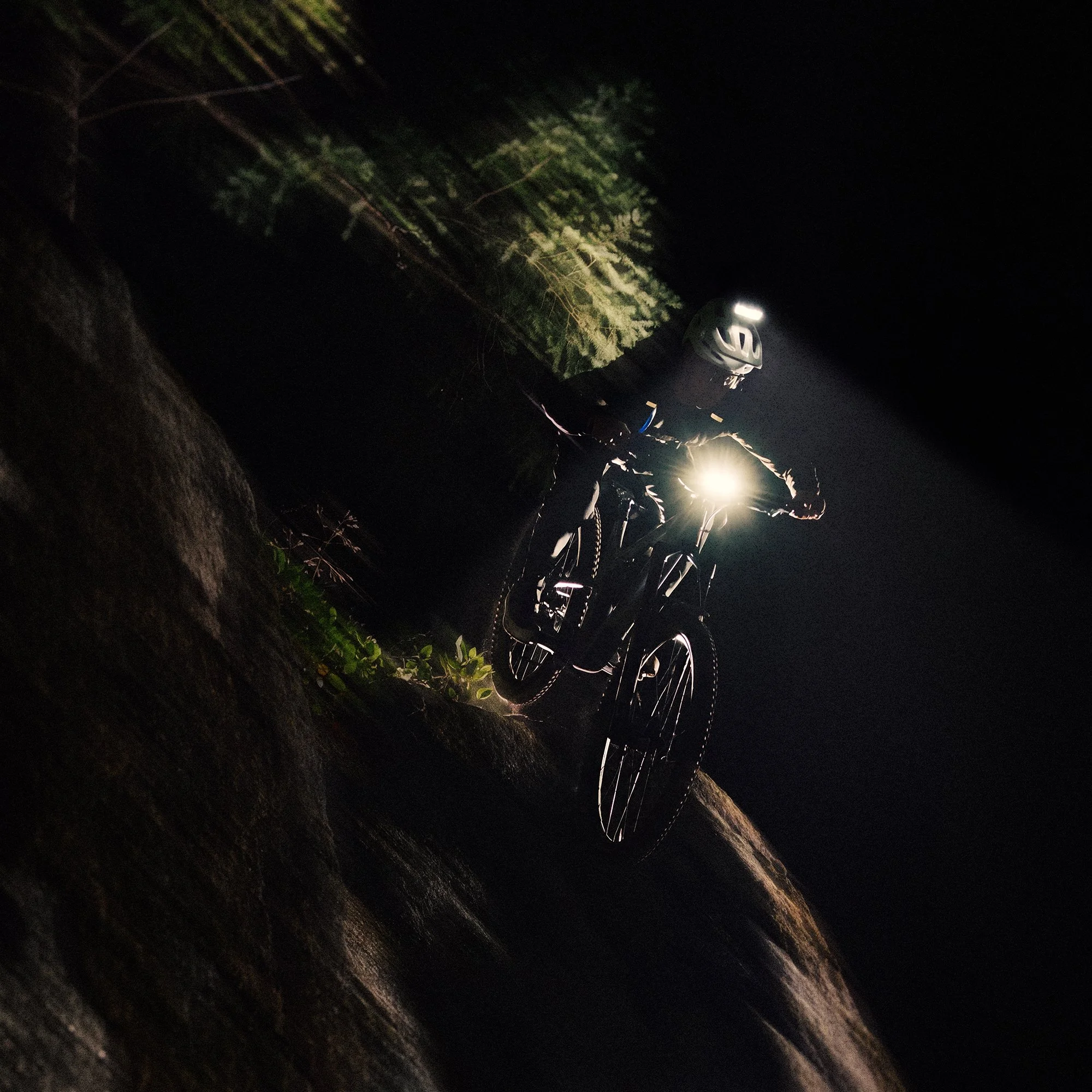21_OL_Portal_Photo_Bike.jpg