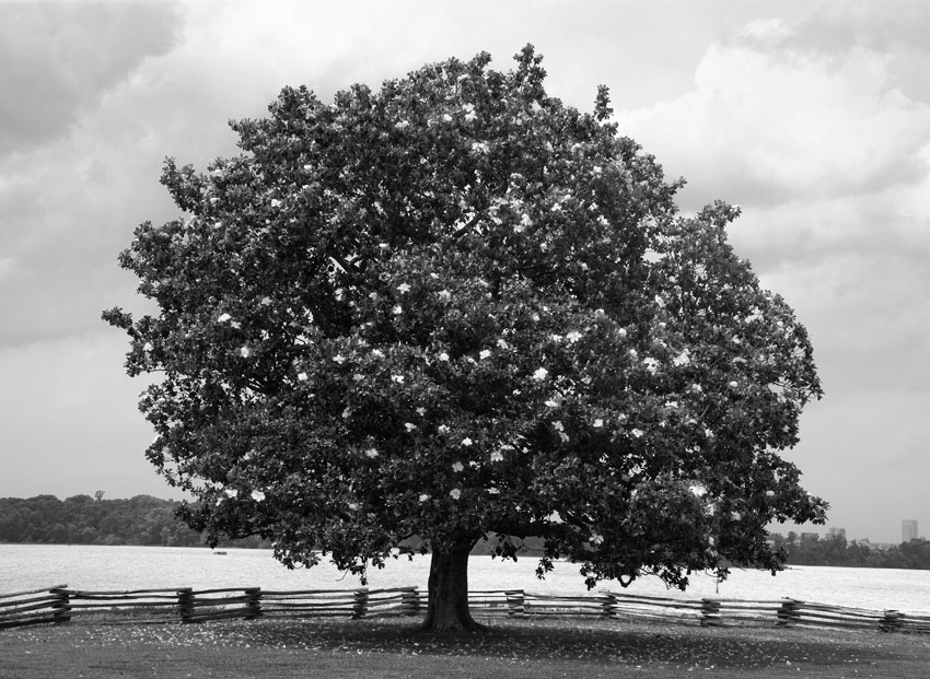 69_City Point, VA, 2012.jpg