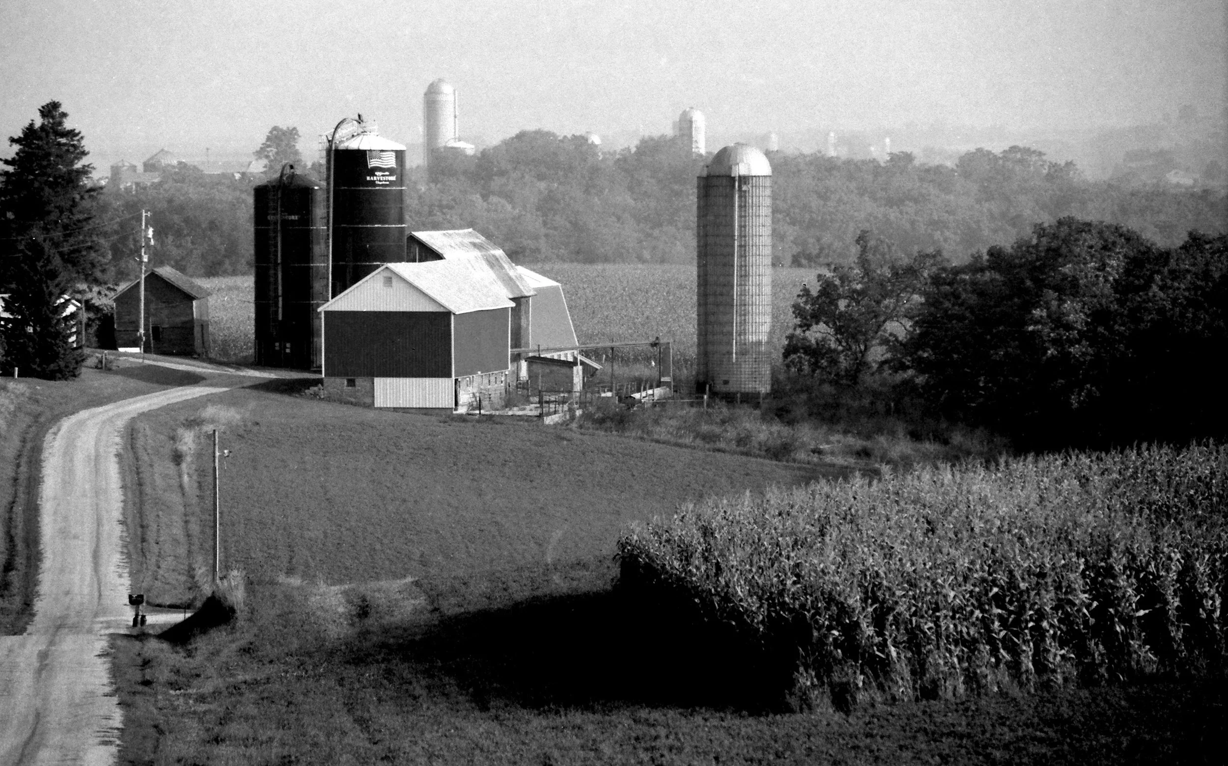 Dane County, Wisconsin, where Ernie was born and lived for many years.