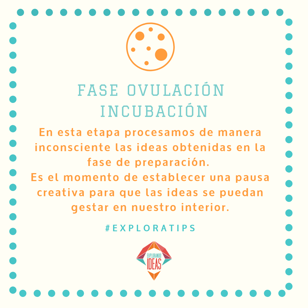 Fase ovulación Incubación.png