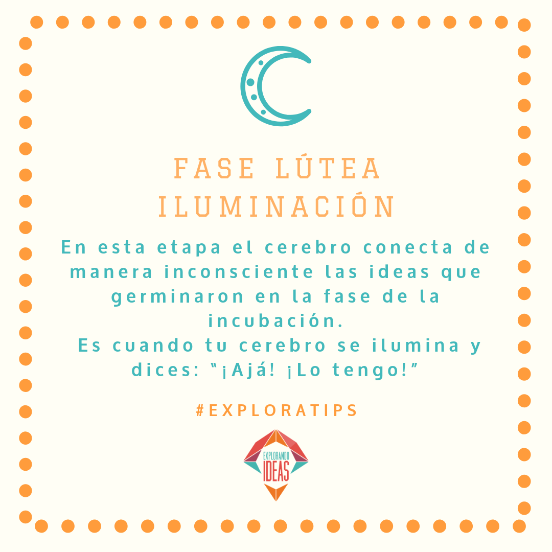fase lutea.png