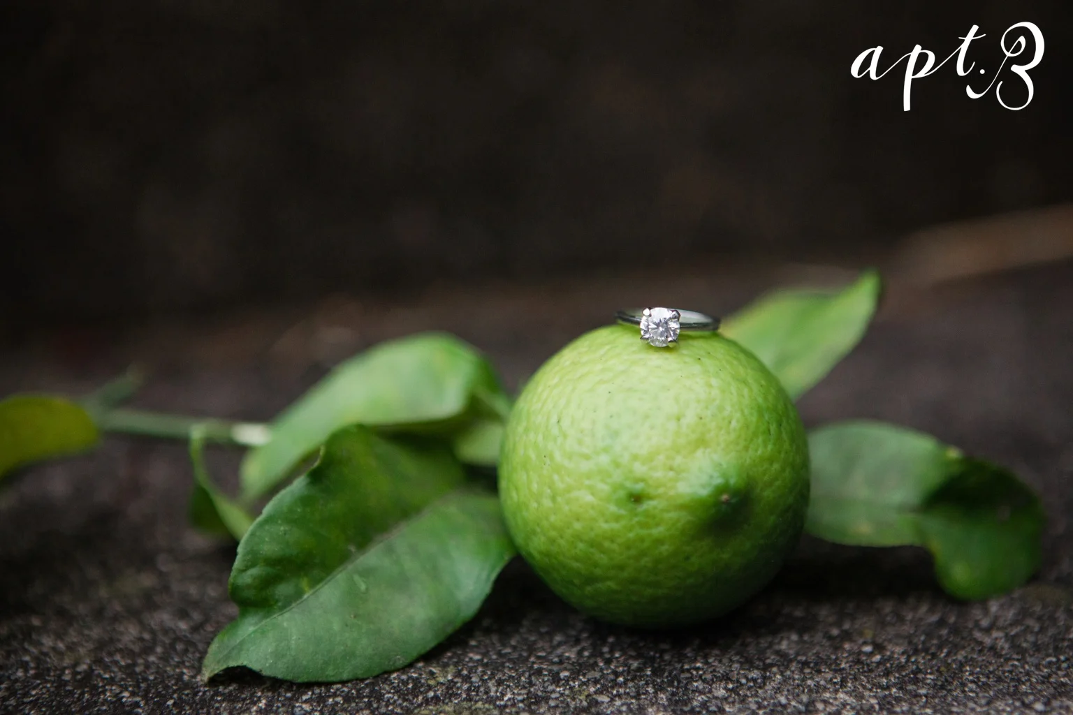 AptBPhotography_GainesvilleEngagement-40.jpg