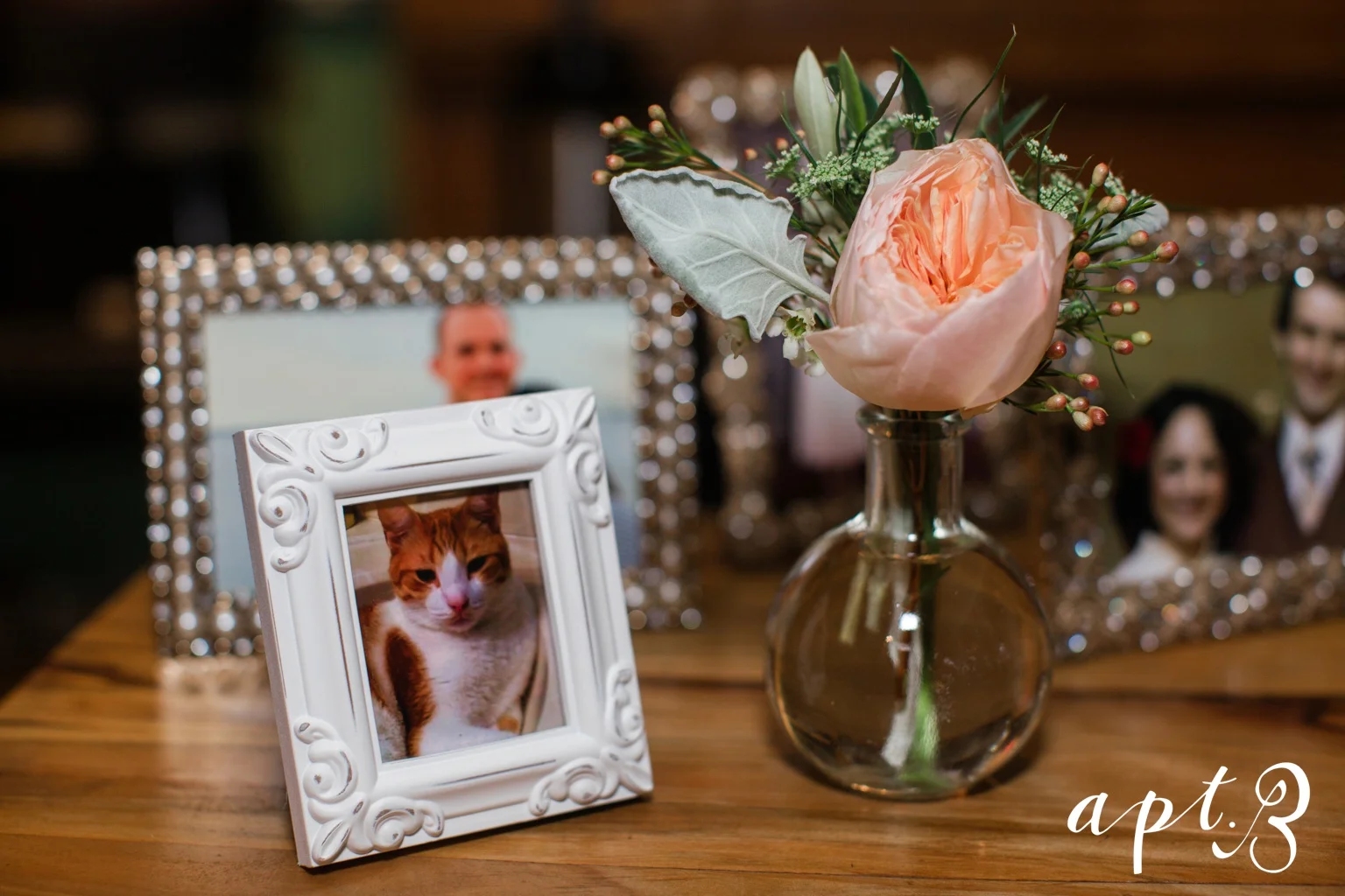 AptBPhotography_AmandaMarkBLOG-120